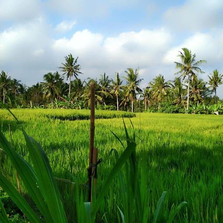 Uma Loka Villa By Shm Ubud Eksteriør bilde