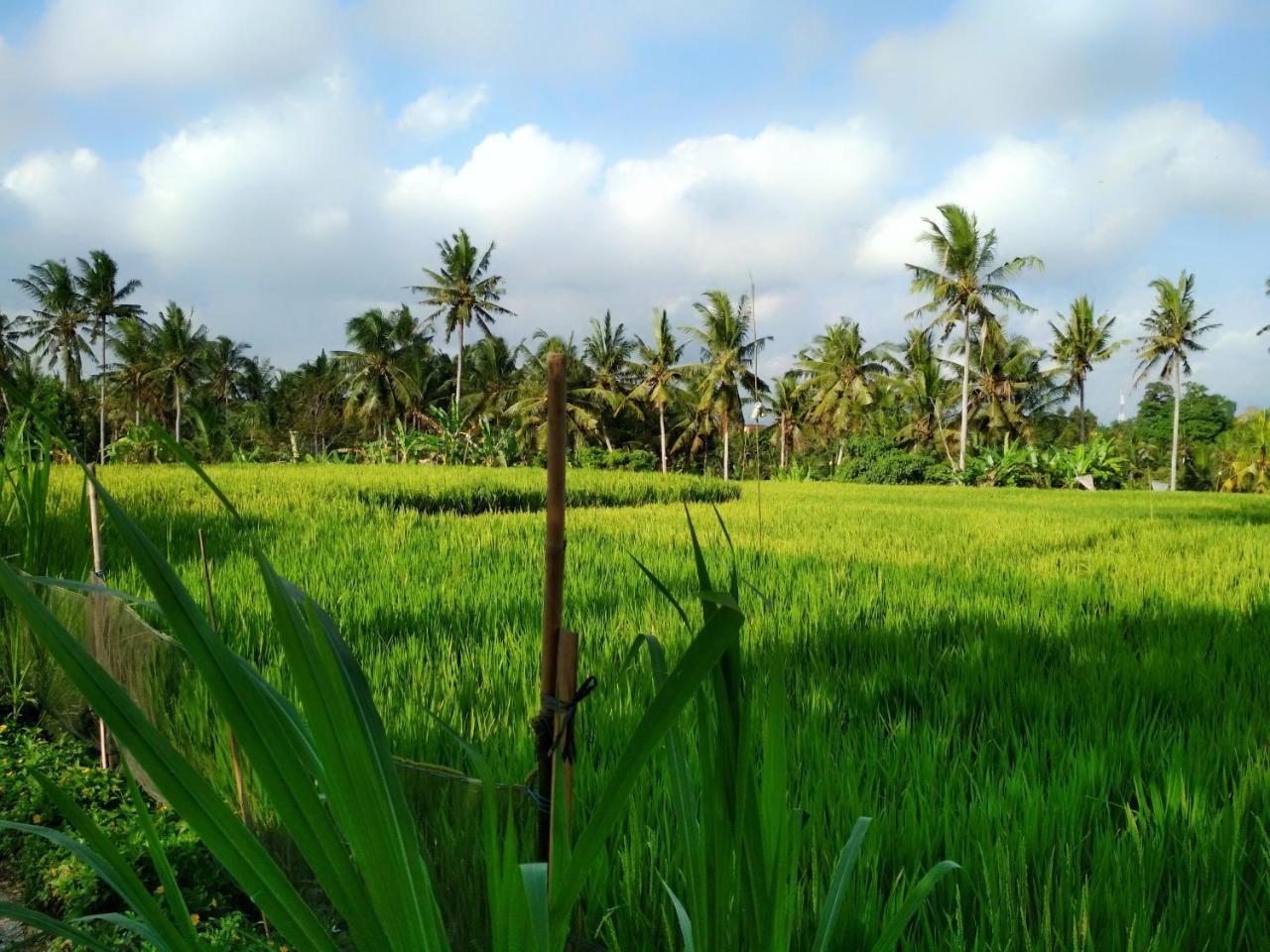 Uma Loka Villa By Shm Ubud Eksteriør bilde