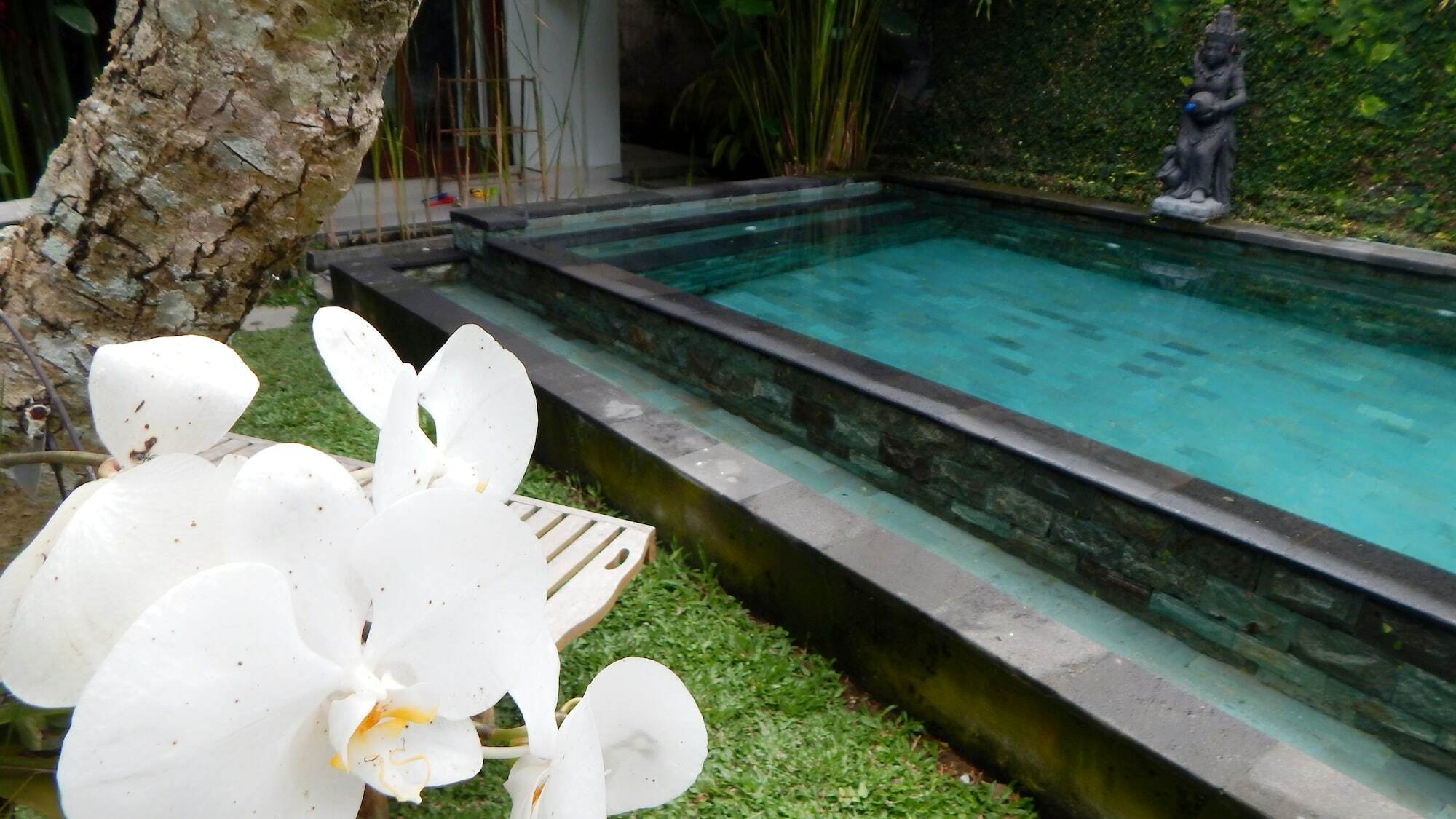 Uma Loka Villa By Shm Ubud Eksteriør bilde
